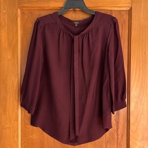 Aritzia Babaton Silk Blouse